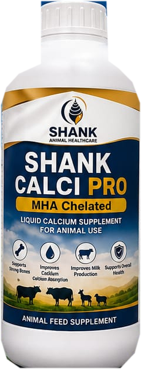 पूर्ण दिसणारी SHANK Calci Pro लिक्विड कॅल्शियम सप्लीमेंट बाटली